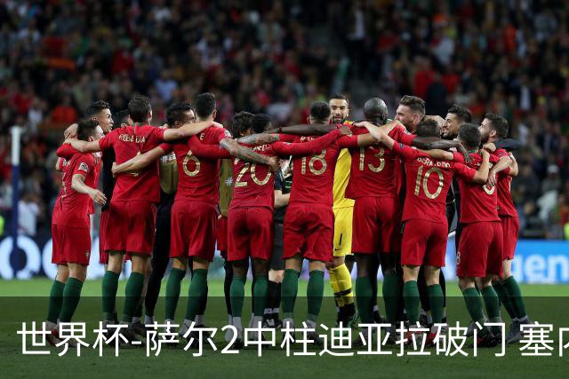 世界杯-萨尔2中柱迪亚拉破门 塞内加尔半场暂1-0比利时