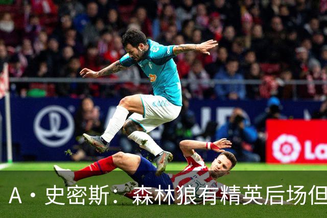 A·史密斯：森林狼有精英后场但体型变小 难应对雷霆马刺火箭掘金